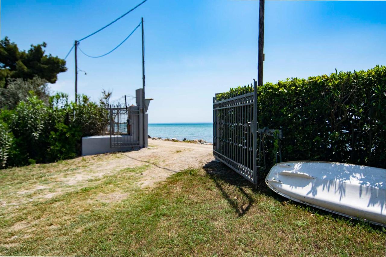 Clio Beach House By Travel Pro Services - Metochi Halkidiki Созополь Экстерьер фото