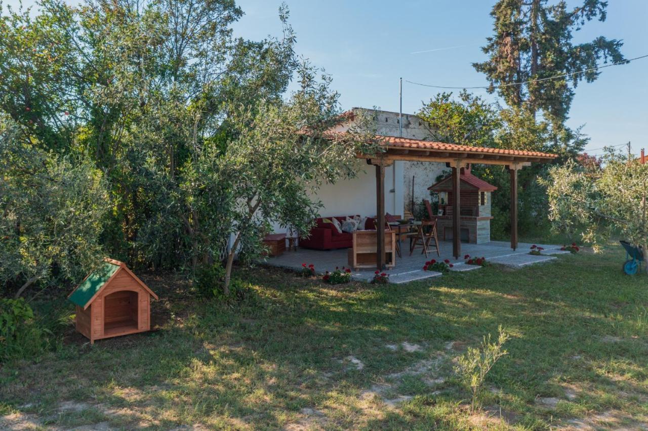 Clio Beach House By Travel Pro Services - Metochi Halkidiki Созополь Экстерьер фото