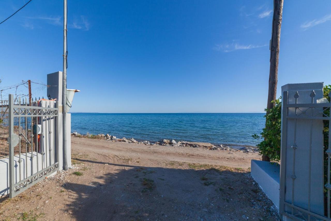 Clio Beach House By Travel Pro Services - Metochi Halkidiki Созополь Экстерьер фото